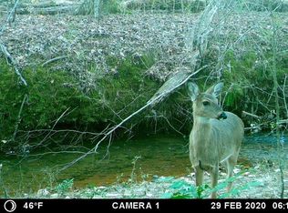 0 Hurst Ml N LOT 0, Bremen, GA 30110