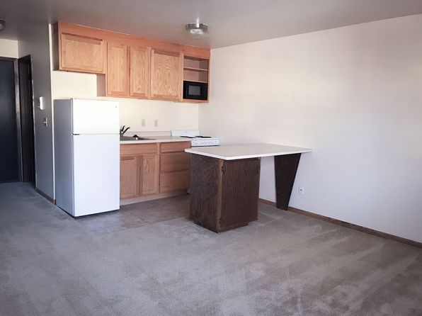 102 N Franklin St APT 109