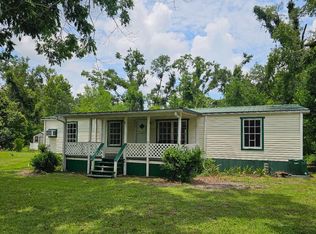 173 NW Jim Willis Rd, Mayo, FL 32066