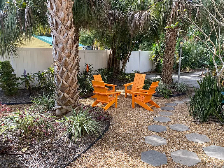 Rear yard seating area under the palms