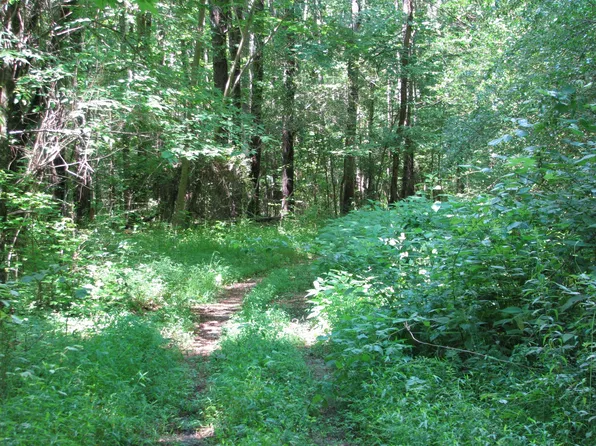 0 Matthews Hollow Rd, Waverly, TN 37185