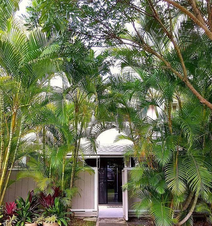 Entry way with palms and privacy