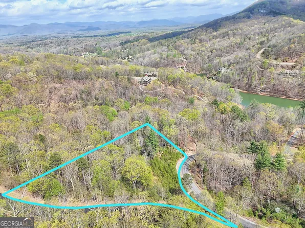 231 N Shore Dr, Cleveland, GA 30528