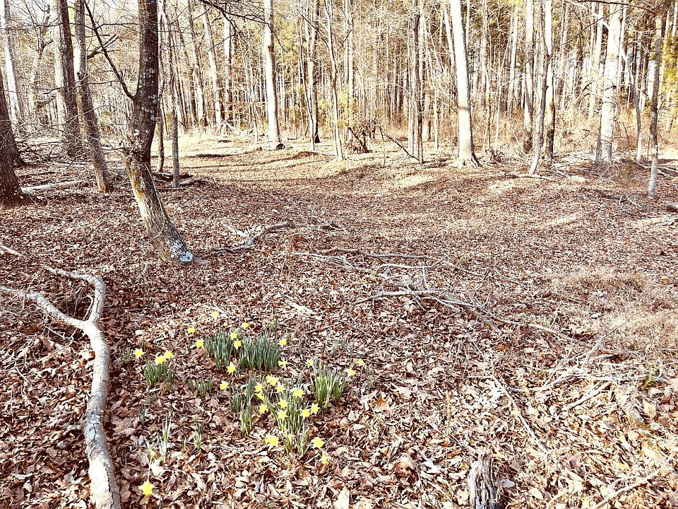 1st image of Briarwood Rd