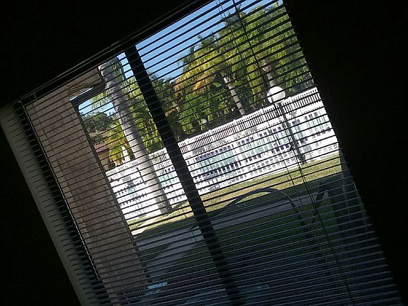 5th image of 133 San Paulo Cir