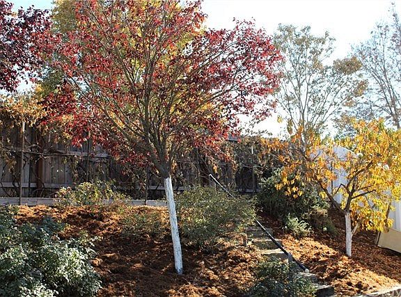 5th image of 130 Riverbank Ln