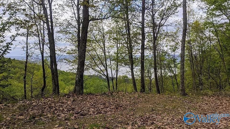 2nd image of 2759 County Road 265