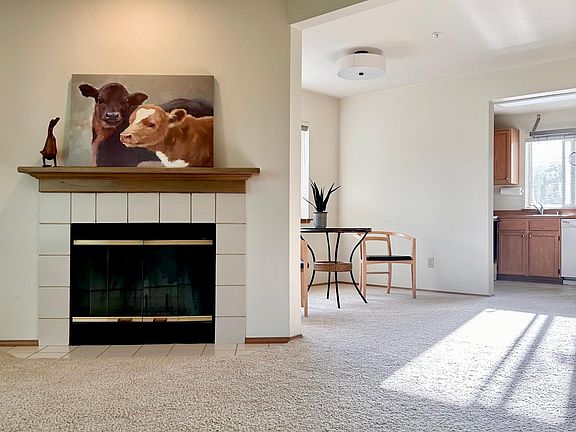Light, bright living area.
