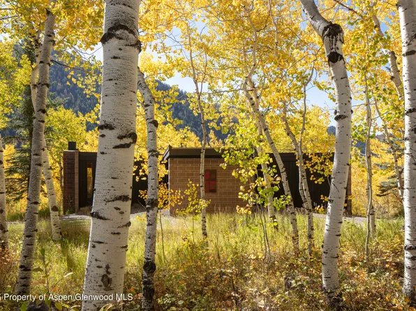 258 Roaring Fork Dr, Aspen, CO 81611