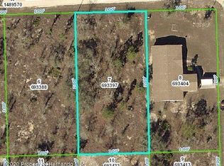 0 Nusser Ave, Weeki Wachee, FL 34614