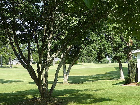 Golf course side yard