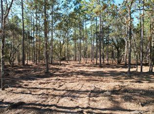 NE 93rd Ter LOT 81, Archer, FL 32618