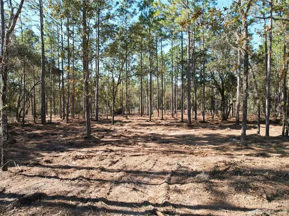 NE 93rd Ter Lot 81, Archer, FL 32618
