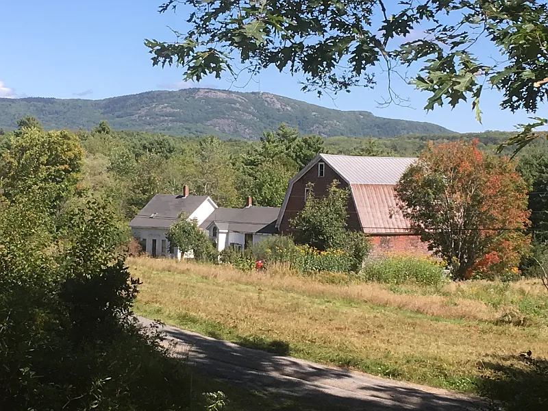 314 Davis Rd