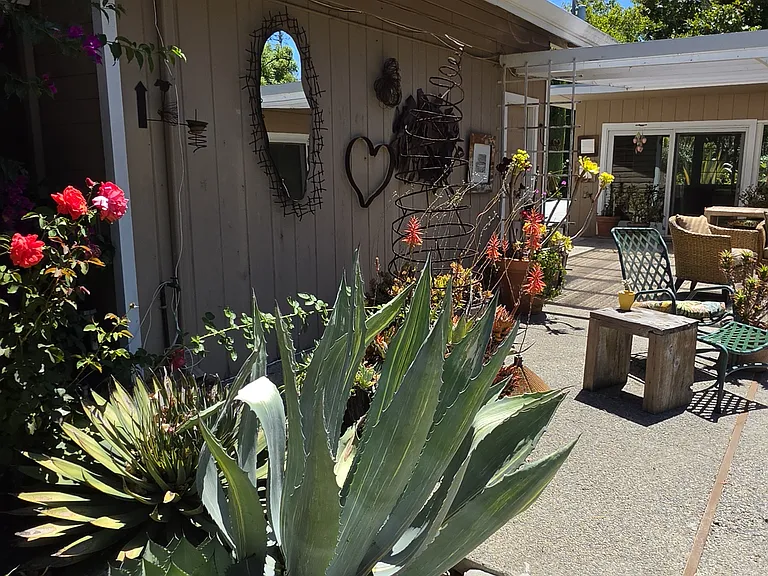 Mid Yard Areas