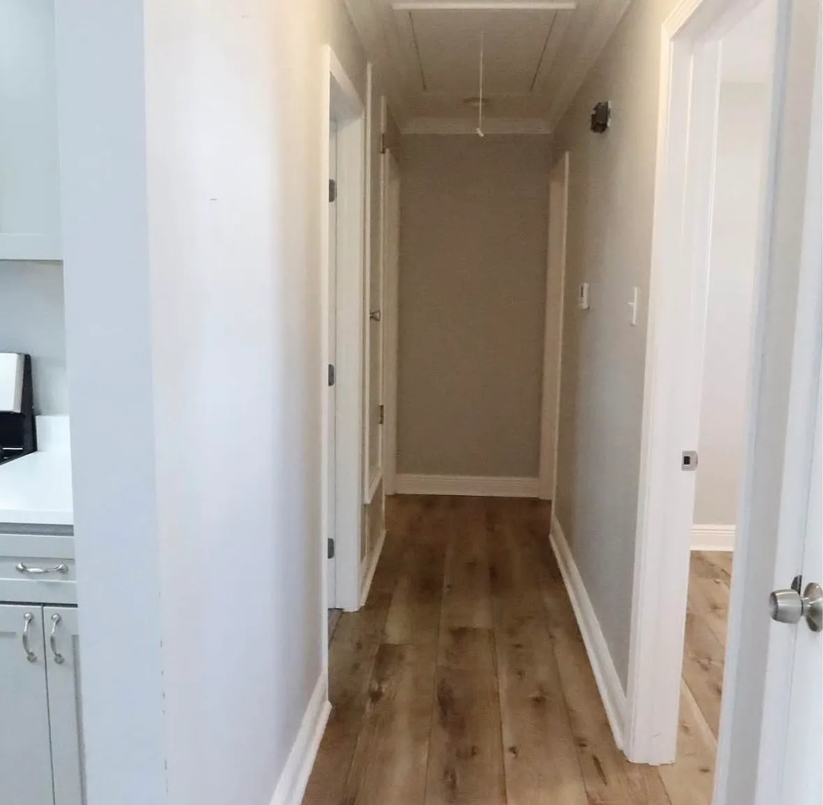 3 bed, 1100 sqft, $2,000 — Photo 3