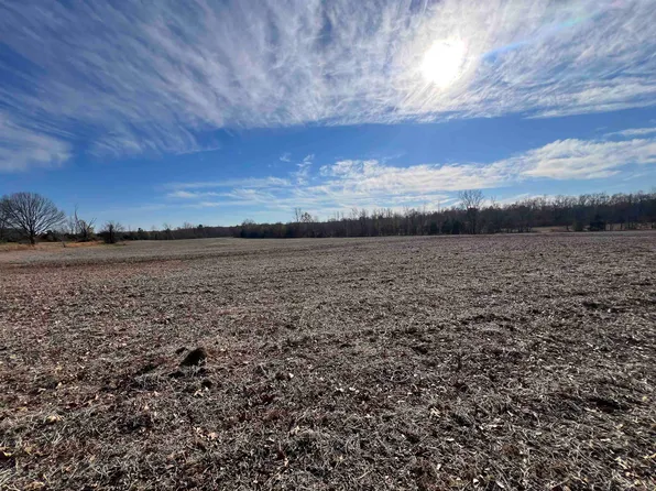 335 Will Coln Ln, Michie, TN 38357