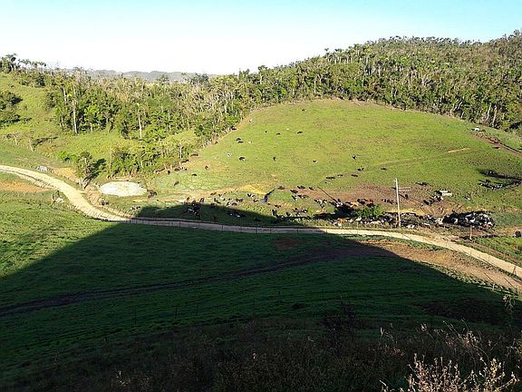4th image of 633 Km 1.6 Barrio Barahona St