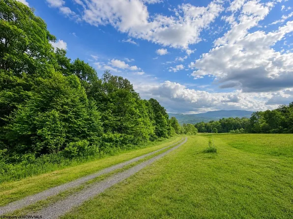 10 Iron Horse Ln, Dryfork, WV 26263