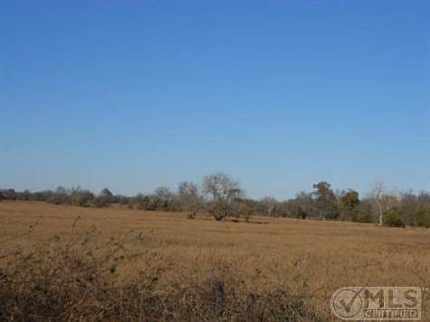 5th image of 4468 County Road 1040