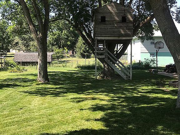 Back yard, tree house