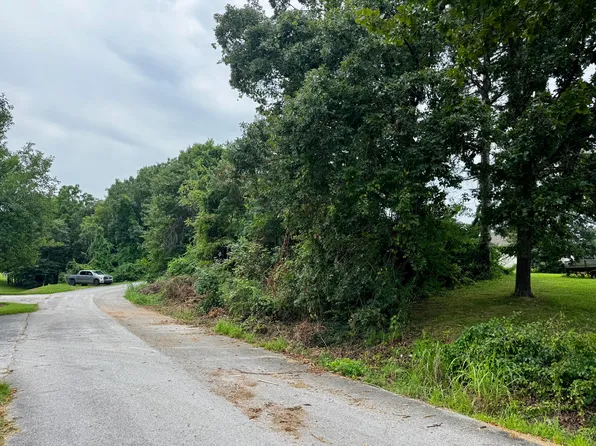 000 Peach Tree Street, Fordland, MO 65652