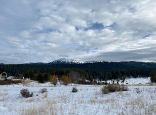 323 Otter Pond Ct, McCall, ID 83638