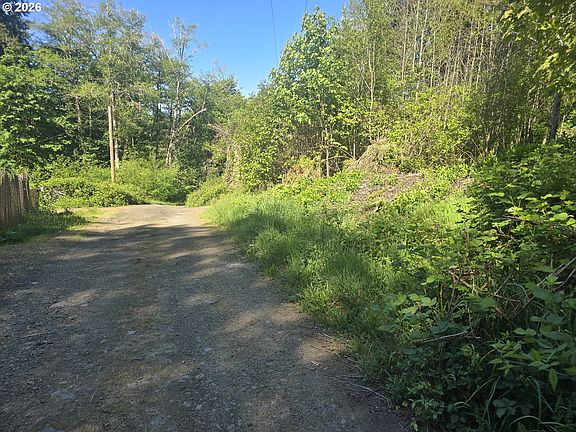 4th image of Bear Rd