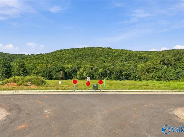 6170 Feather Way SE, Owens Cross Roads, AL 35763