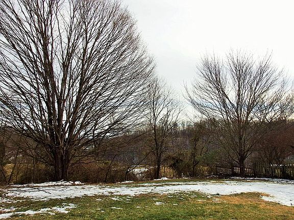 4th image of 27194 Camp Comfort Hts