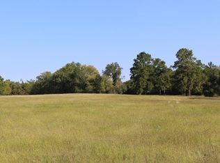 21087 Arnsworth Rd, Montgomery, TX 77356