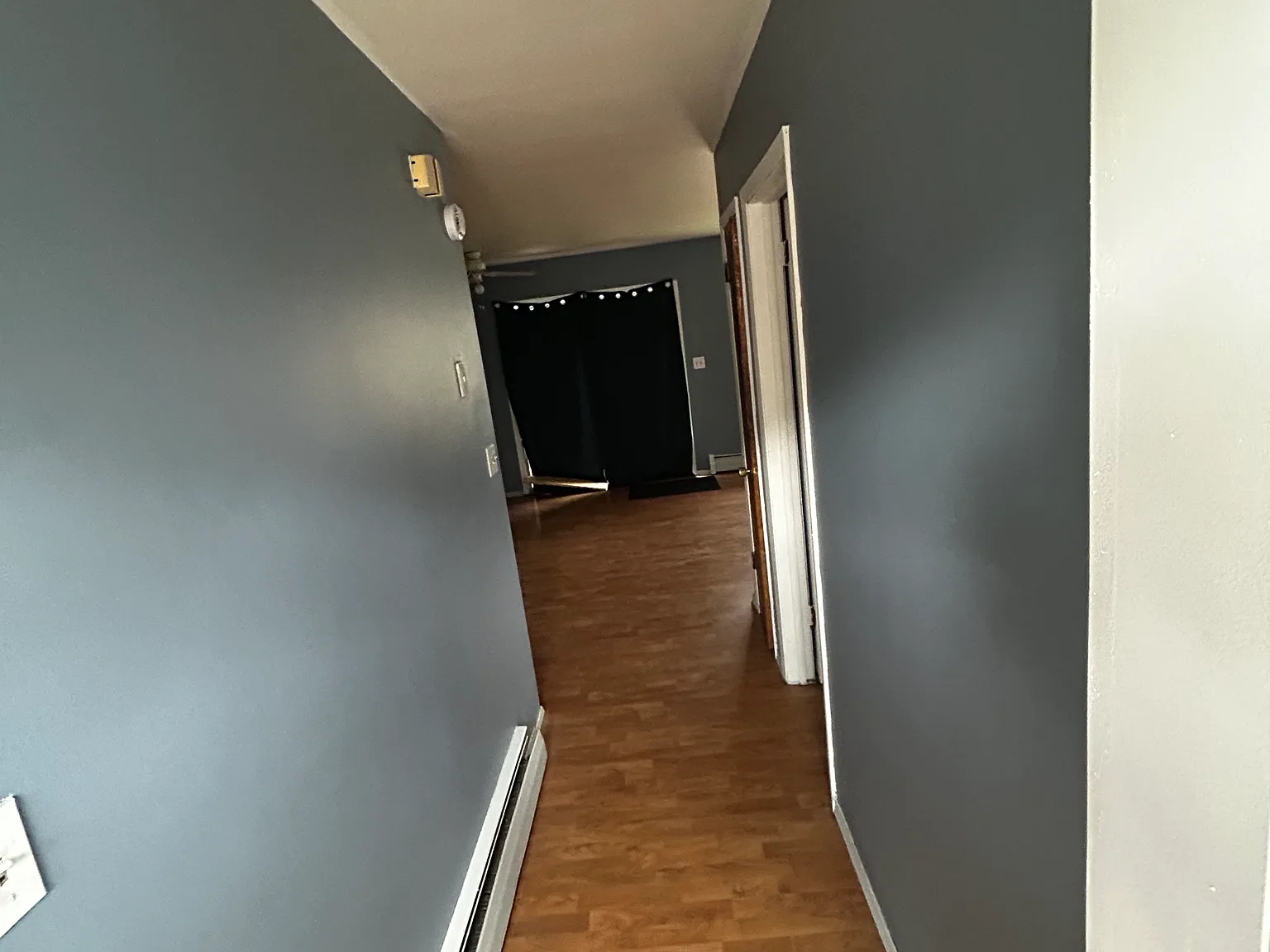 1 bed, $850 — Photo 3