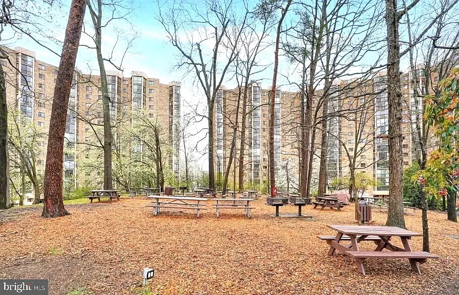 5903 Mount Eagle Dr #509