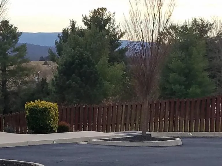 78 Pinnacle Ln — Photo 19