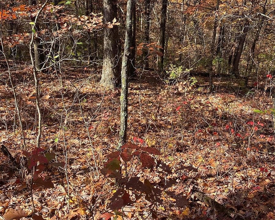 0 Cotton Rd 3AC, Foristell, MO 63348 MLS 22071292 Zillow