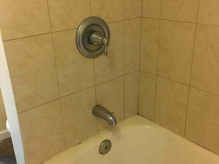 4121 Smith Rd #1B — Photo 14