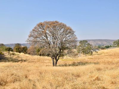 2836 Arrowhead St, Copperopolis, CA, 95228