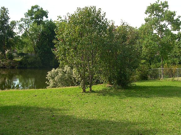 View from back of house