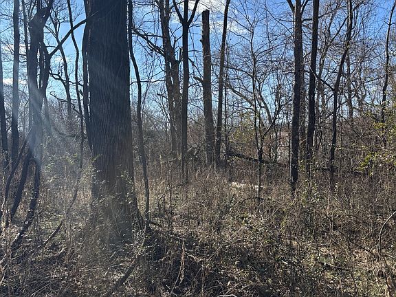 3rd image of 0 Wallace Rd