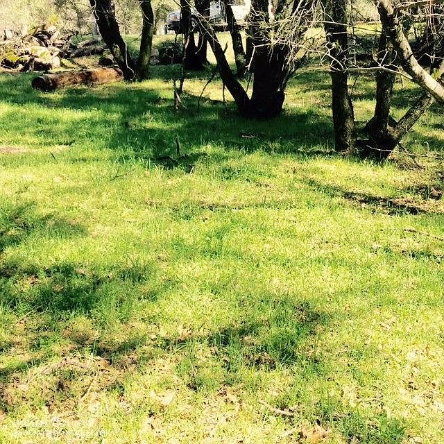 1st image of 20306 Chaparral Cir