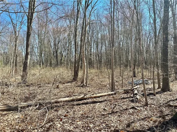 Bible Camp Road, Bloomingburg, NY 12721