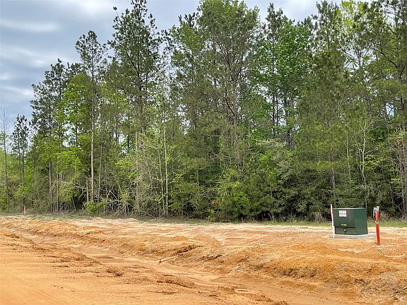 5th image of 11631 Grand North Rd Lot 2