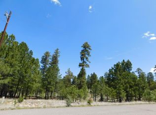 2992 Durango Dr, Happy Jack, AZ 86024