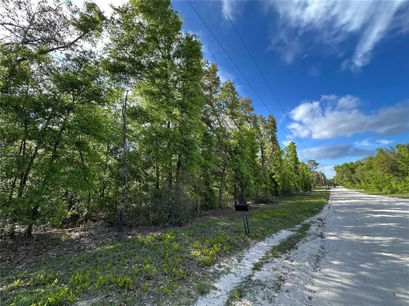 NE 113th Avenue & Northeast Ln #86, Bronson, FL 32621