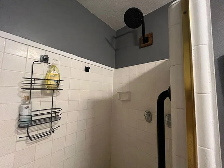 425 Ena Rd #1203B — Photo 15