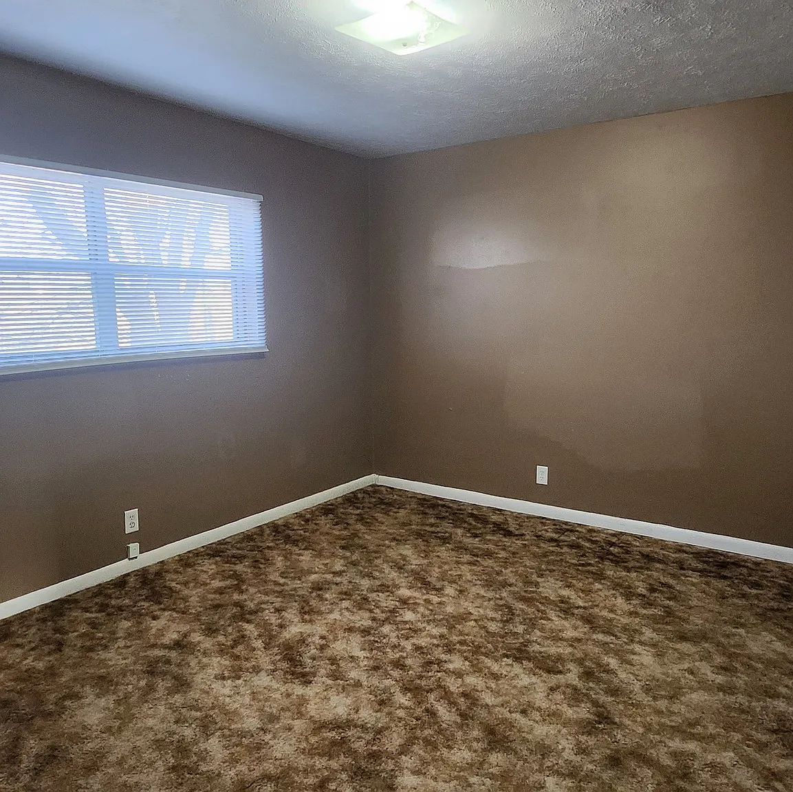 1 bed, $775 — Photo 3