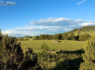 Aspen Meadows Ln, Guffey, CO 80820