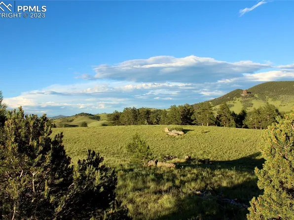 Aspen Meadows Ln, Guffey, CO 80820