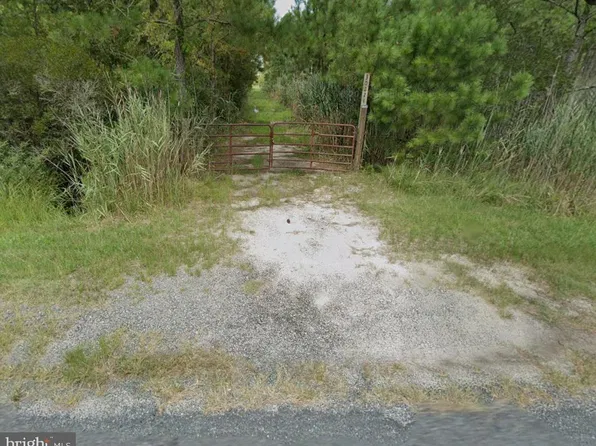 30224 Marumsco Rd, Marion Station, MD 21838