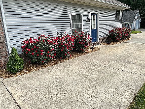 5th image of 3668 Connie Ln